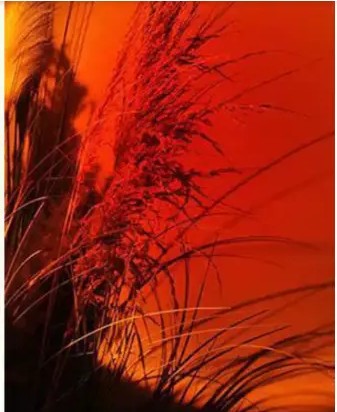Deep sunset red
